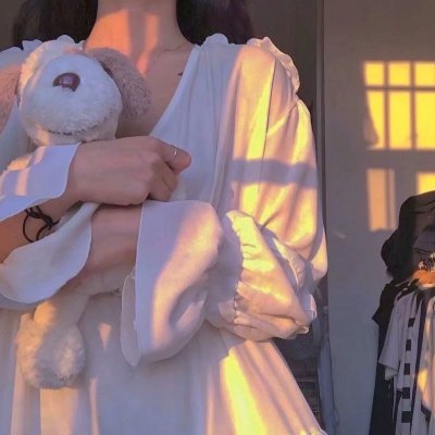 犬之力