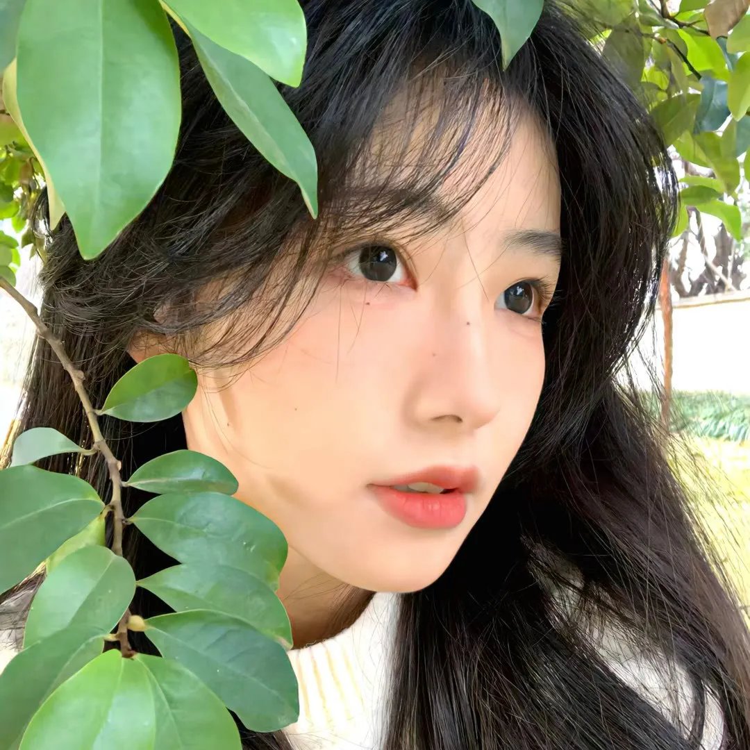 蝴蝶梦